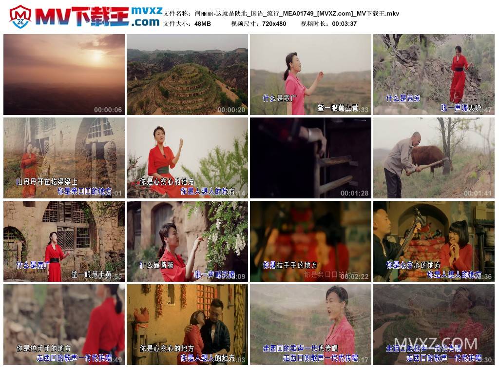 闫丽丽-这就是陕北_国语_流行_MEA01749